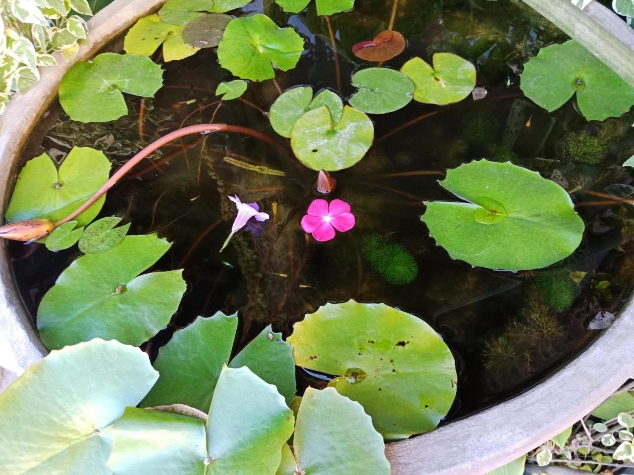 A Lanna Boutique House Hotel Chiang Mai Bagian luar foto